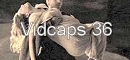 vidcaps36.jpg