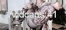 vidcaps41.jpg